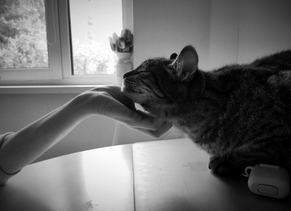 Photograph by Hleb Karneichuk