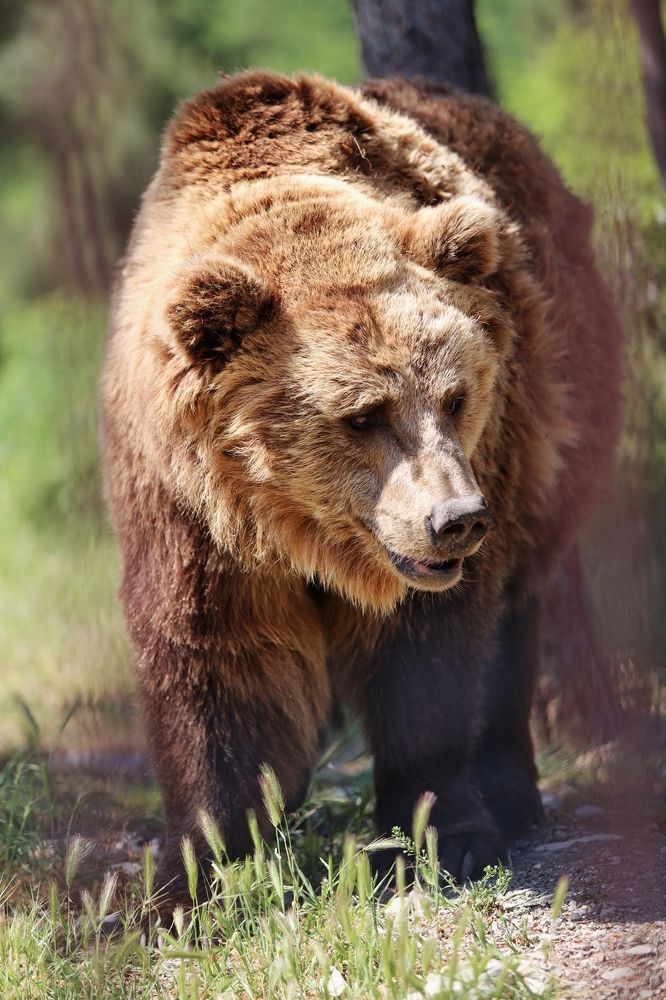 Photograph by Роман Красношапка