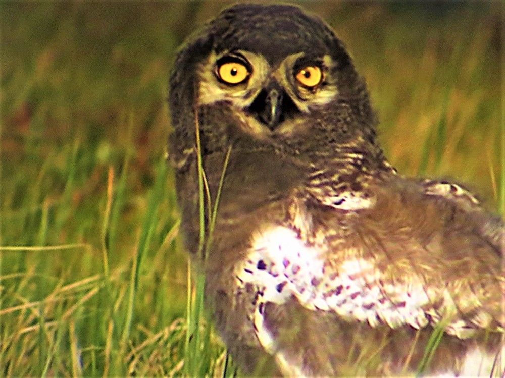 Photograph by Галина