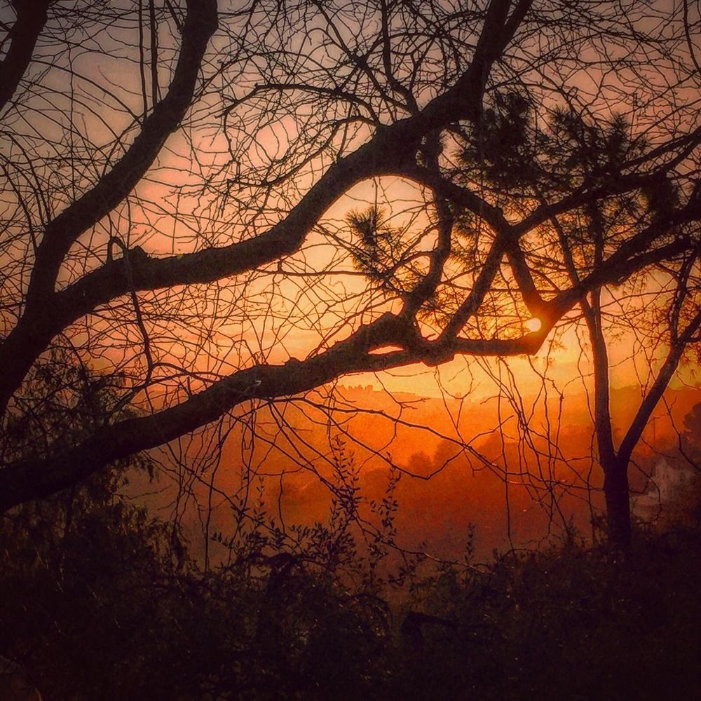 Photograph by Марина Неберекутина