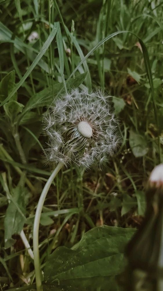 Photograph by Валерия Гарбуз