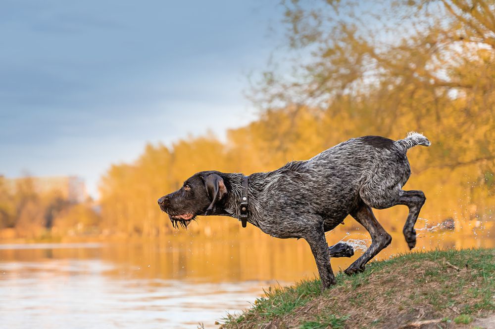 Photograph by Анастасия Непогодьева