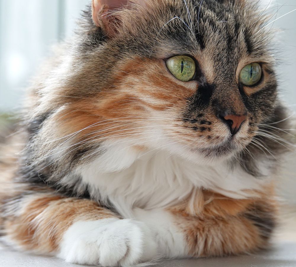 Соня совсем не соня)))