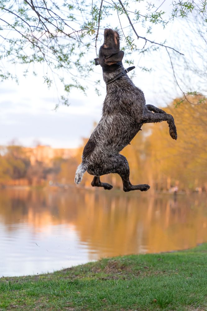 Photograph by Анастасия Непогодьева