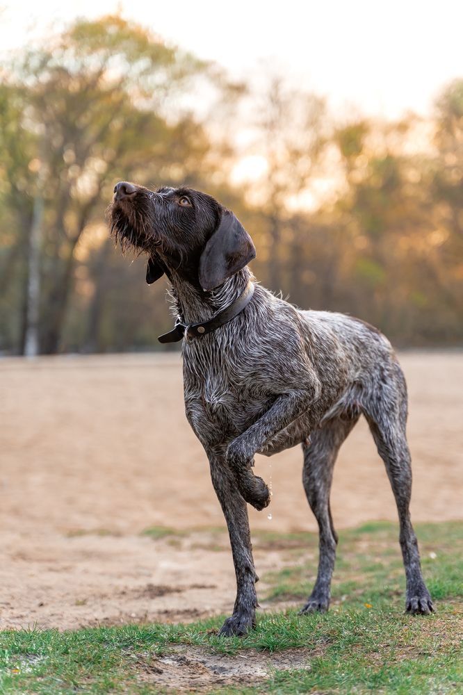 Photograph by Анастасия Непогодьева