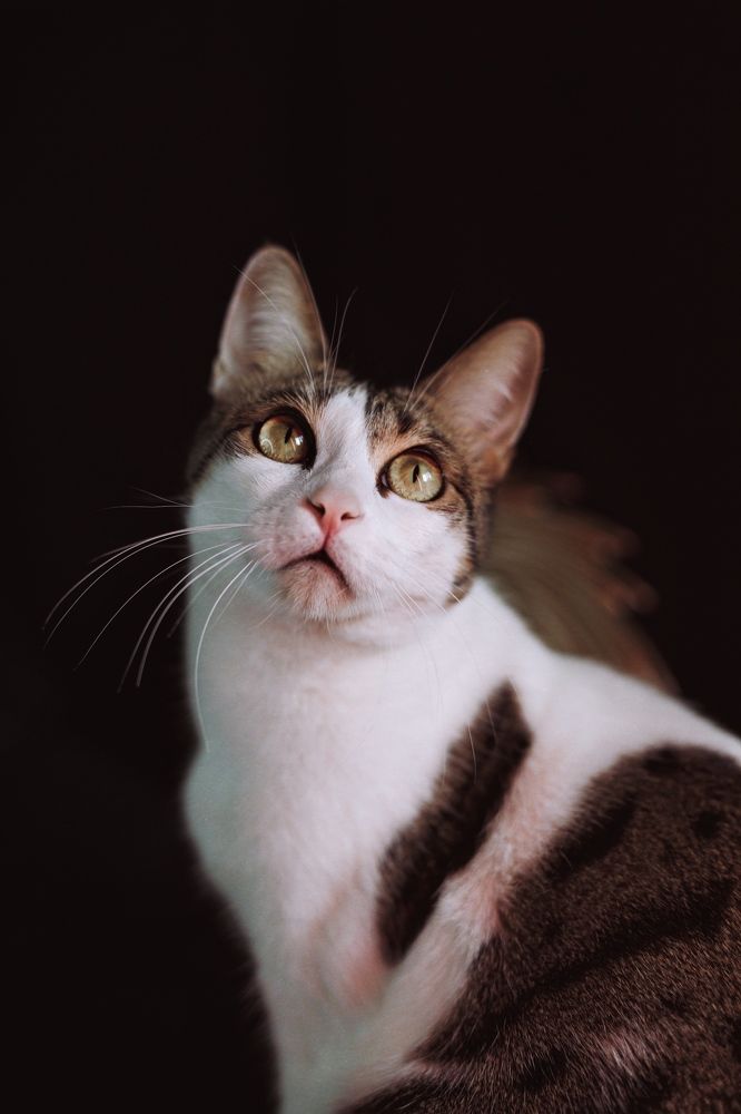 Photograph by Индира Кузнецова