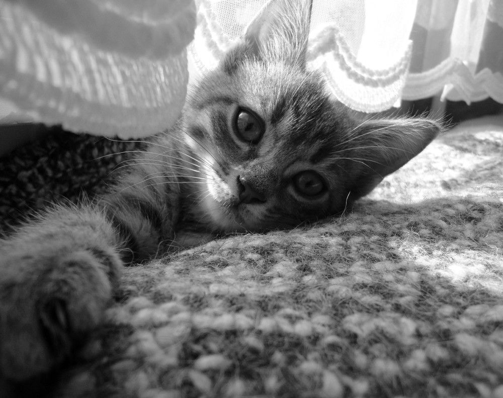 Photograph by Дмитрий Соколов