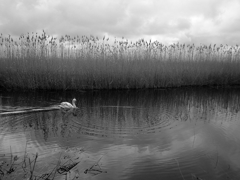 Photograph by Дмитрий Соколов