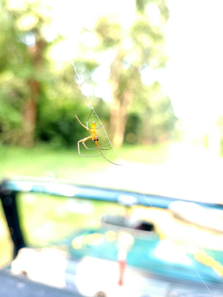 Photograph by Aniket Karane