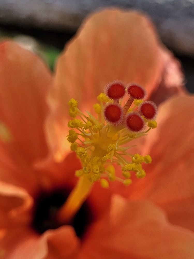 Photograph by Aniket Karane