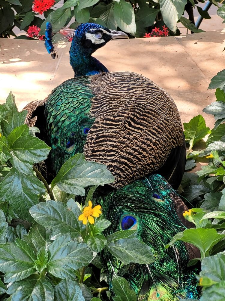 Photograph by Aniket Karane