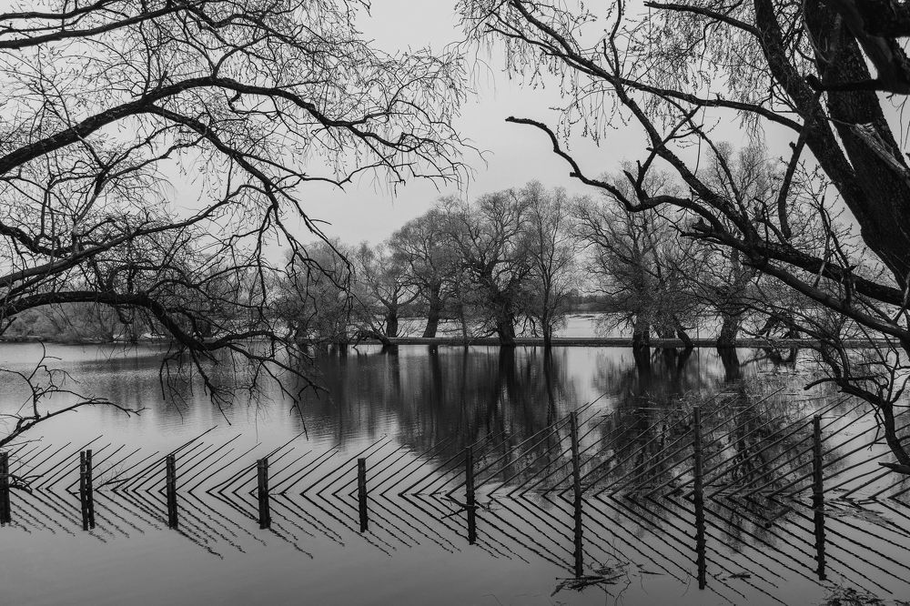 Фотография автора Светлана Разумовская