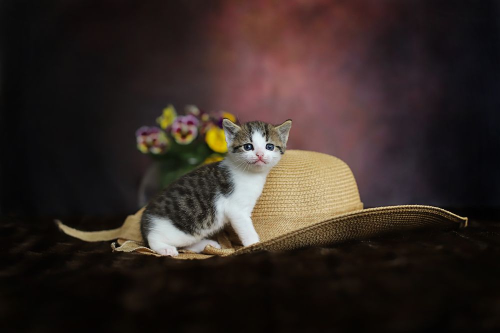 Photograph by Светлана Свахина