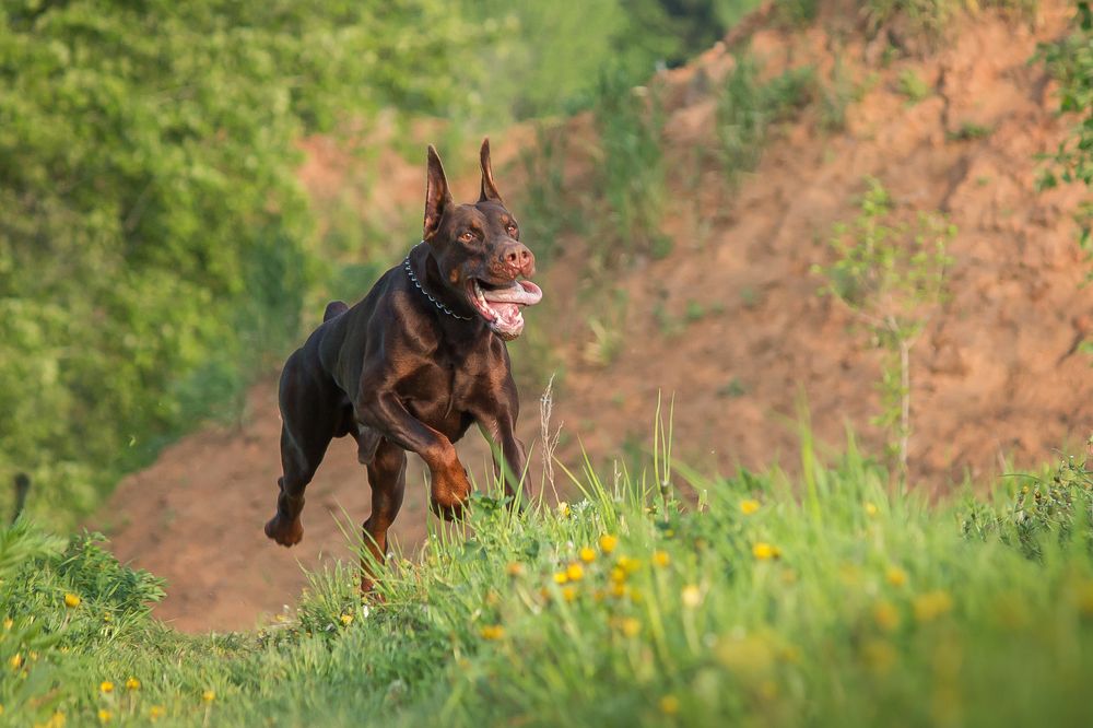 Photograph by Виктория Мамаева