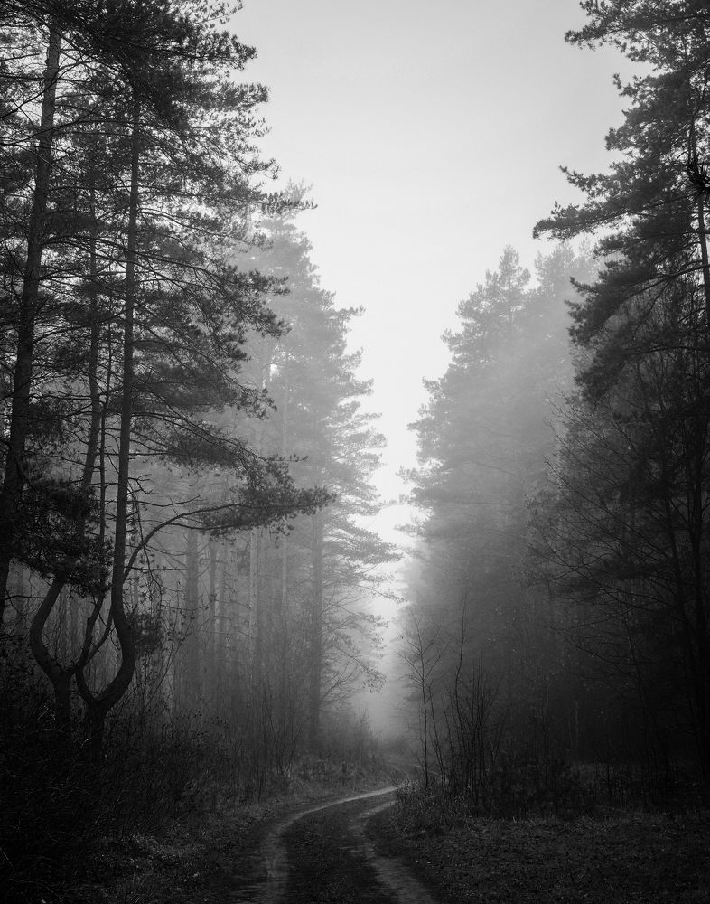 Photograph by Ольга Еженевская