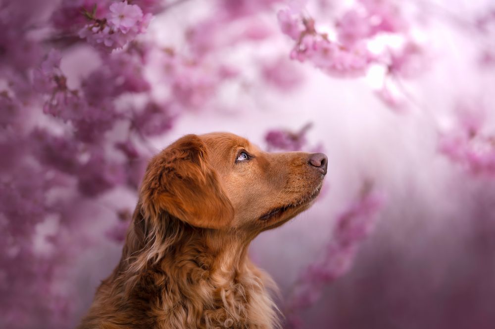 Photograph by Jacqueline Ruediger