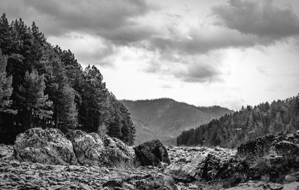 Photograph by Татьяна Ярмак