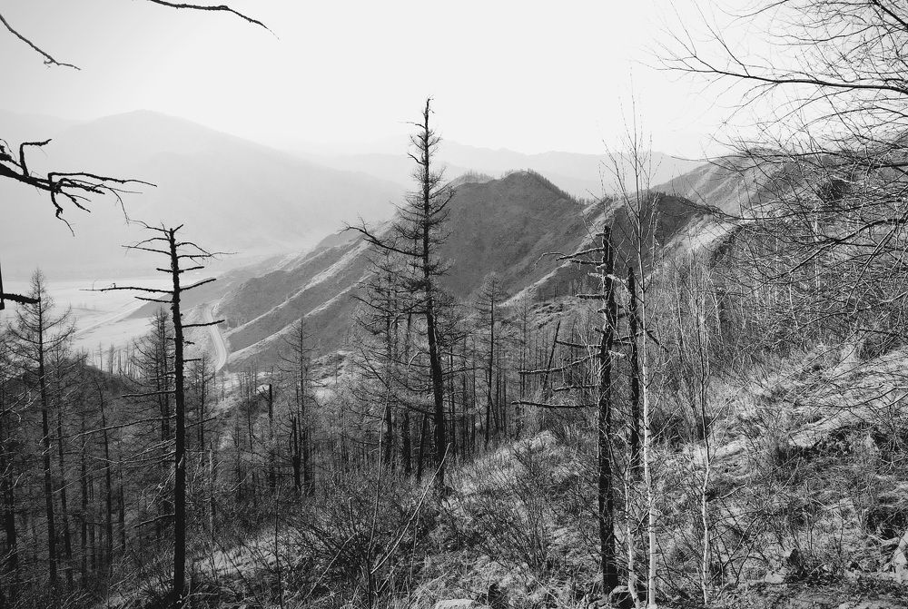 Photograph by Татьяна Ярмак