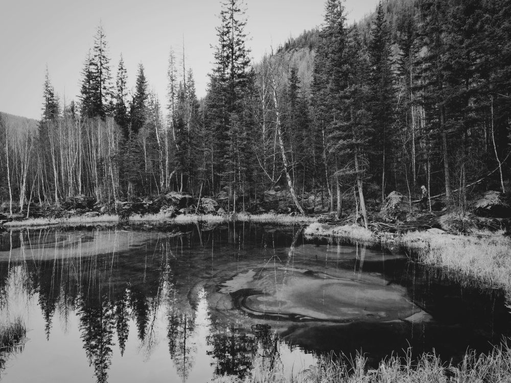 Photograph by Татьяна Ярмак