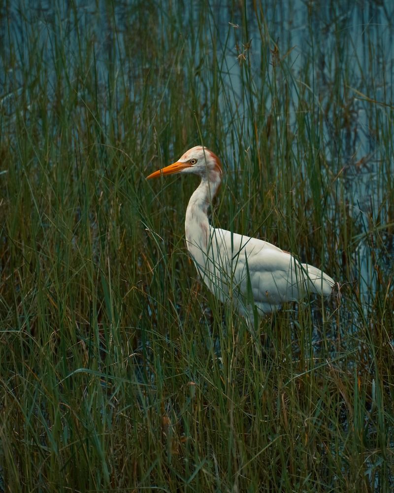 Photograph by Anik Mistry