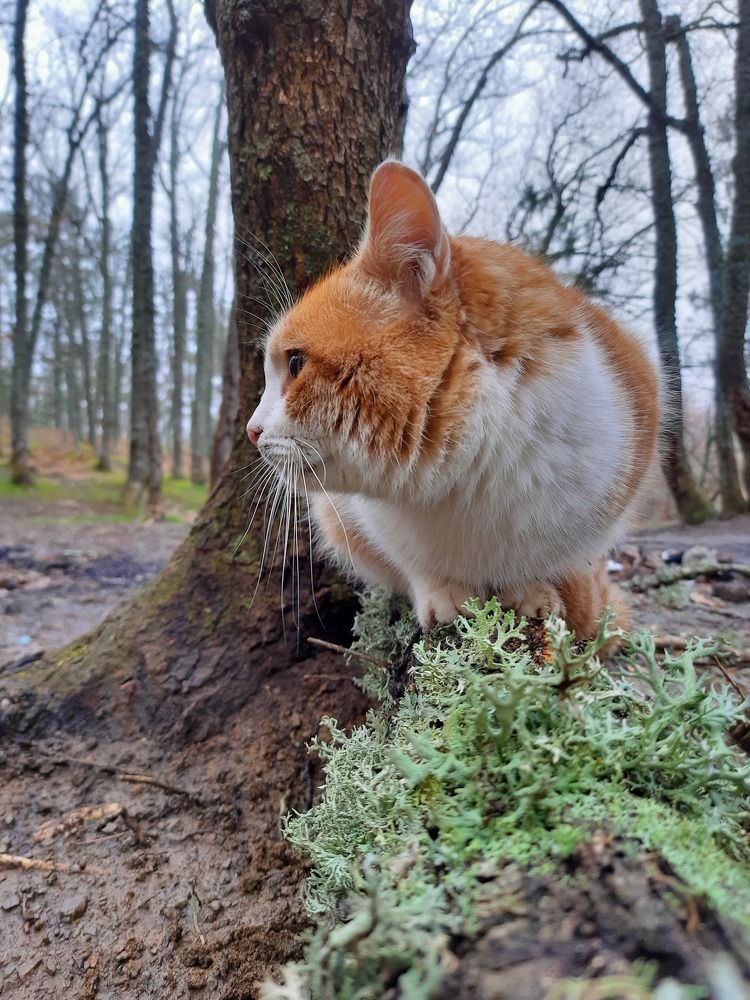 Photograph by Маргарита