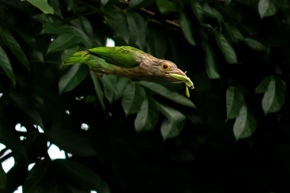 Photograph by saikat chanda