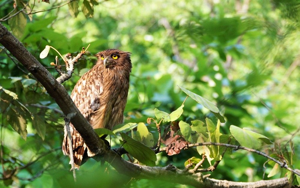 Photograph by Diya Chakraborty