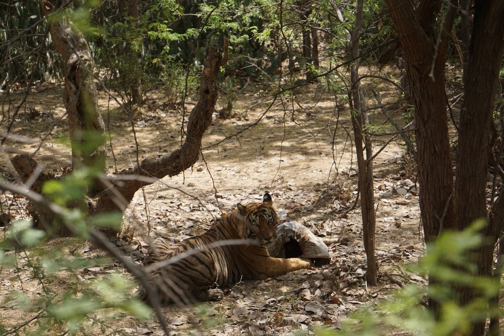 Photograph by Diya Chakraborty