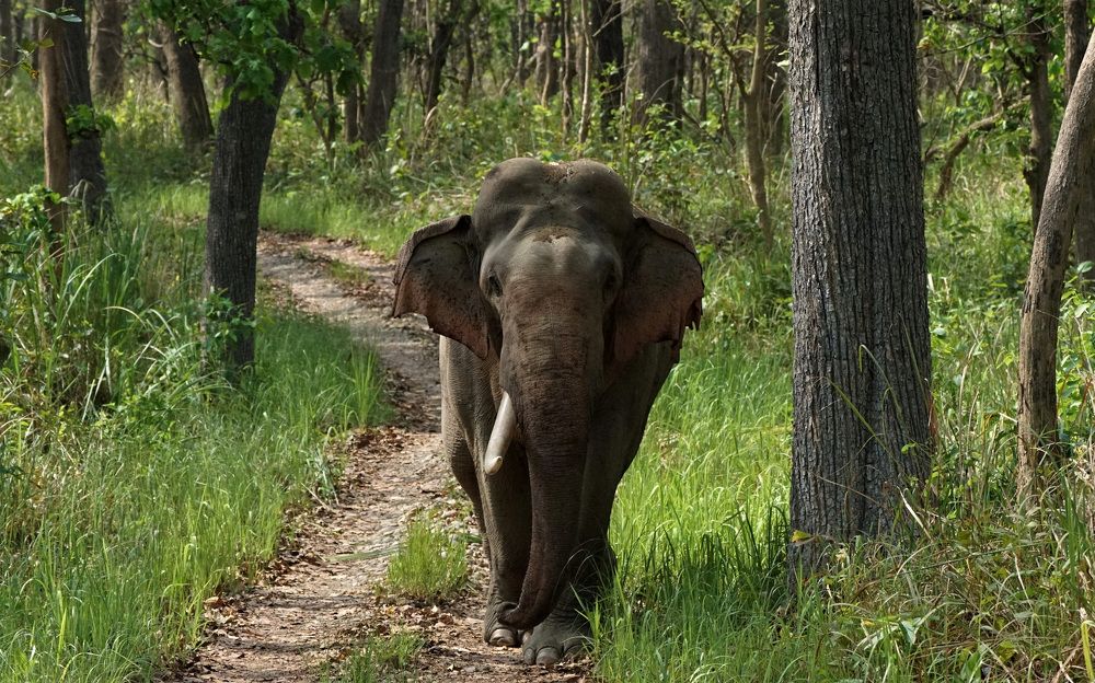 Photograph by Diya Chakraborty