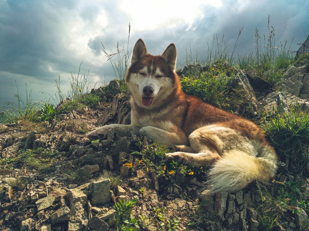 На превале...