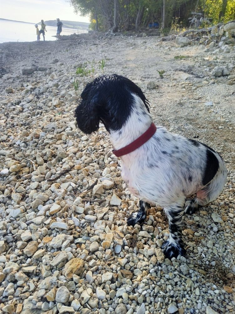 Photograph by Елизавета Мишина