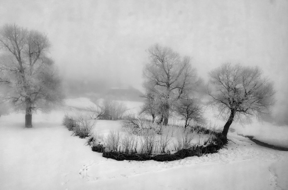 Photograph by mohammadreza behmaram