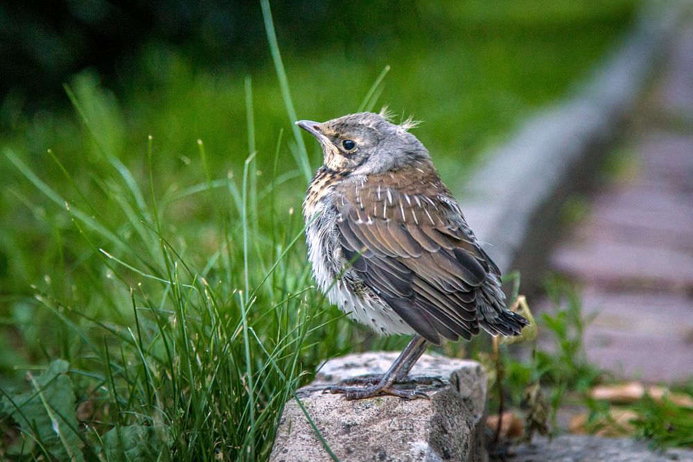 Photograph by Владимир Карпов