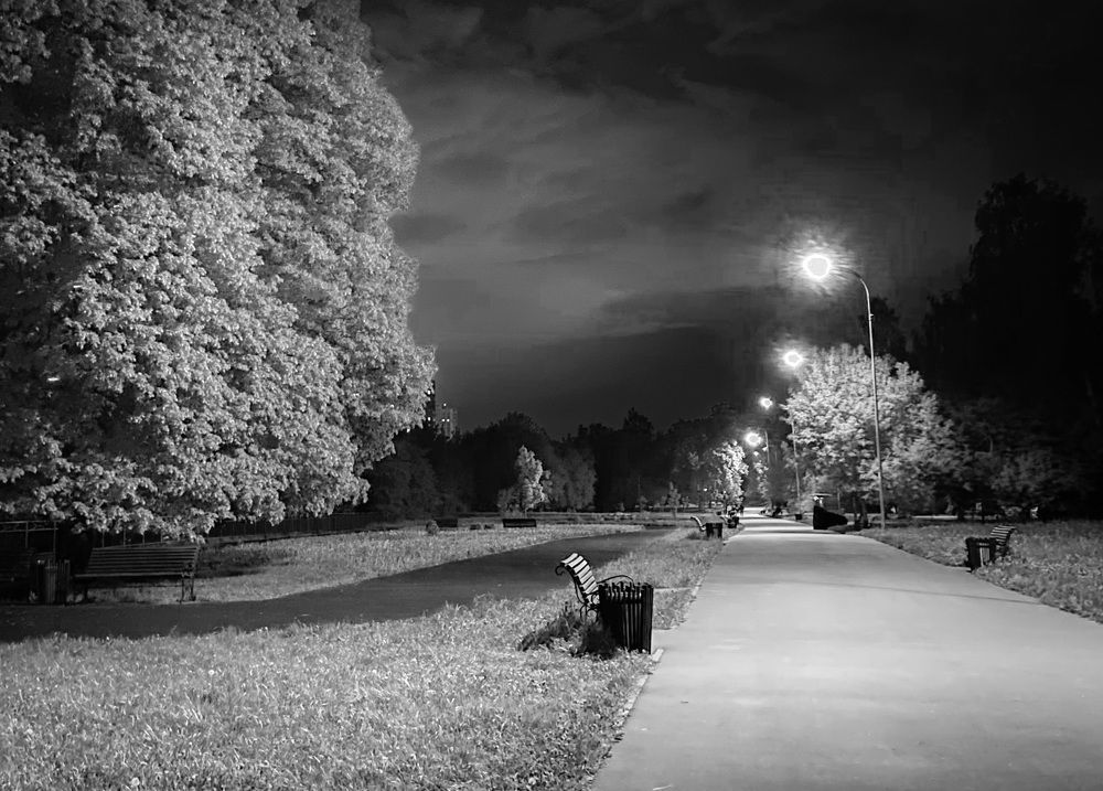 Photograph by Мария Сазонова