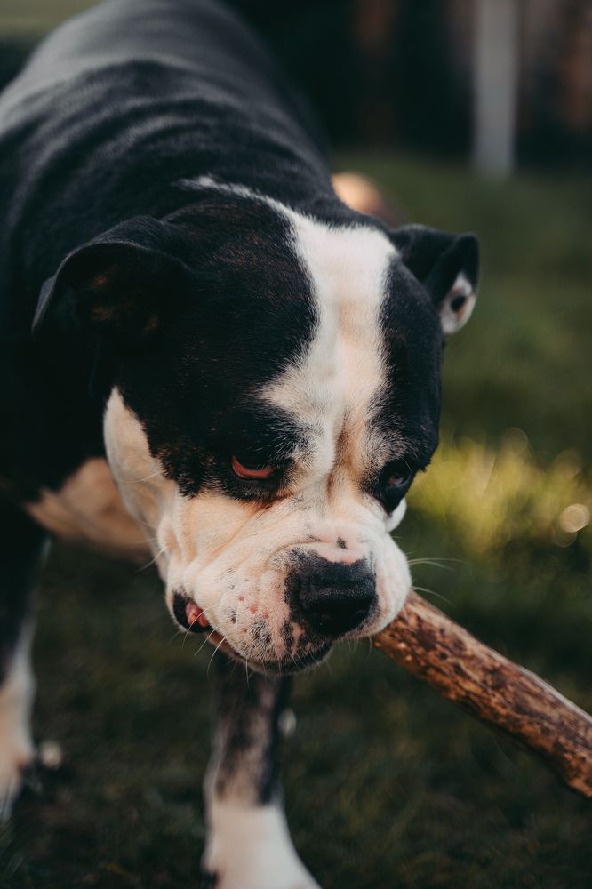 Photograph by Екатерина