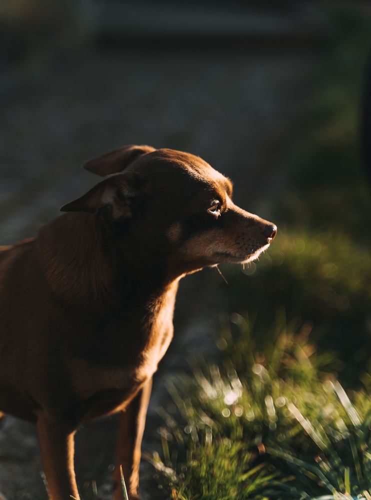 Photograph by Екатерина