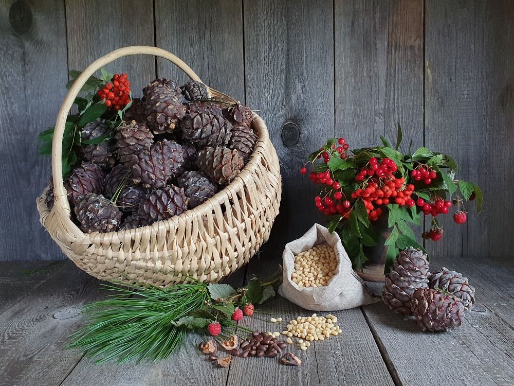 Photograph by Нина