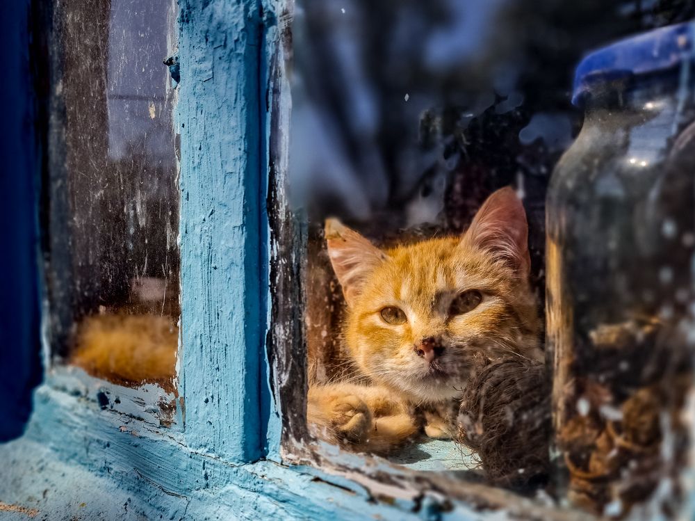 Photograph by Лариса Когтева