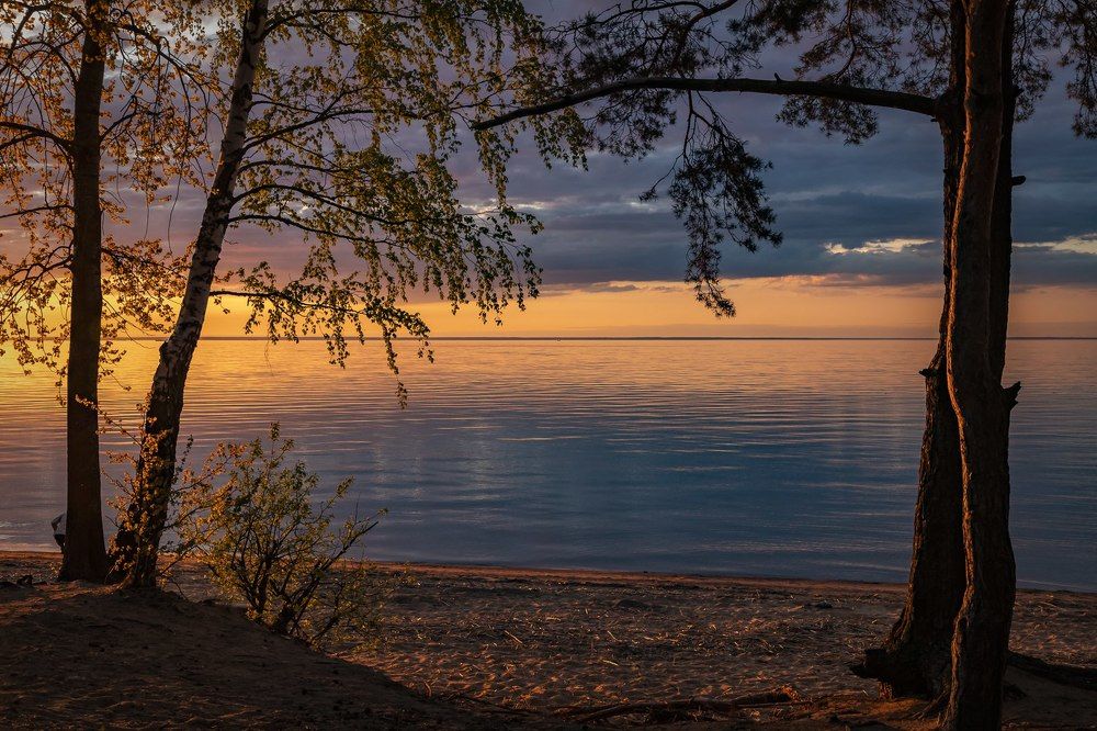 Фотография автора Светлана Котлярова