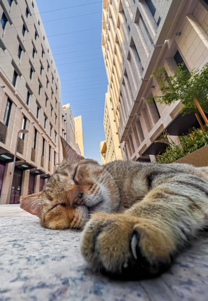 Photograph by Abhilash Thamattoor