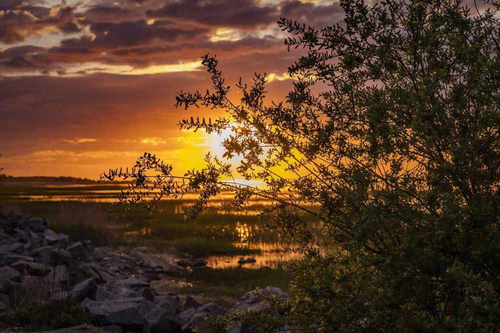 Photograph by Светлана Котлярова