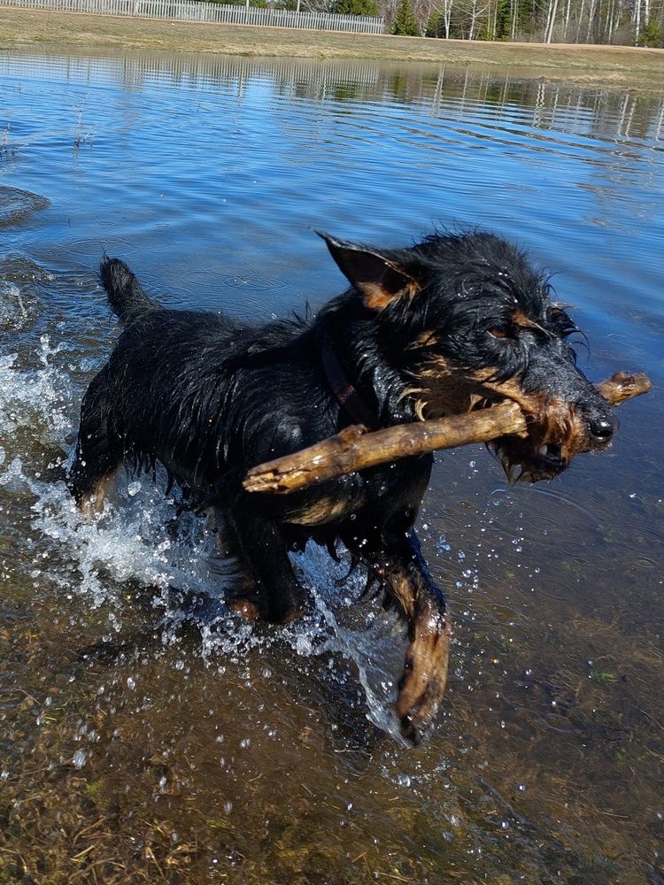 Photograph by Зульфия Вакилова