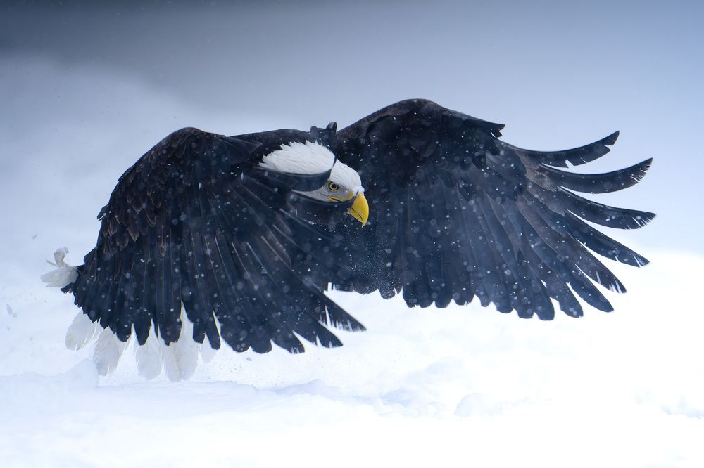 Photograph by Karthik Subramaniam