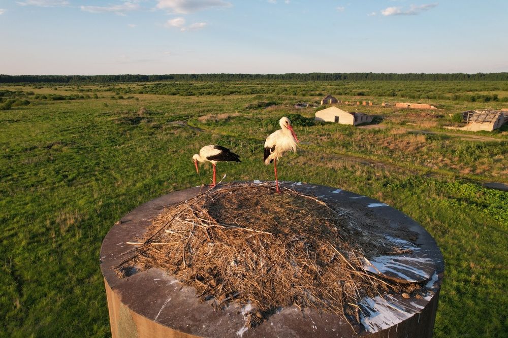 Photograph by Andrey Purtov