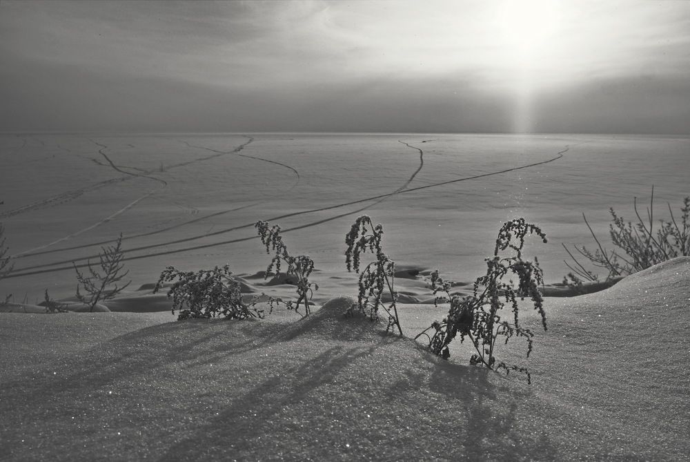 Photograph by Виктор Чернышов