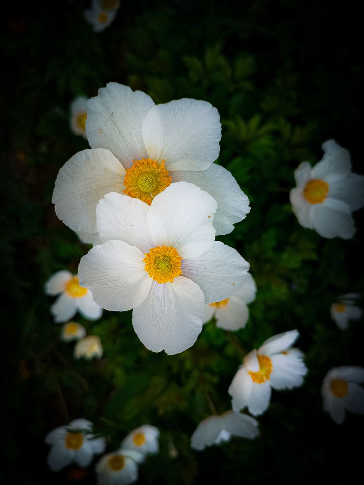 Photograph by Марина Суслова