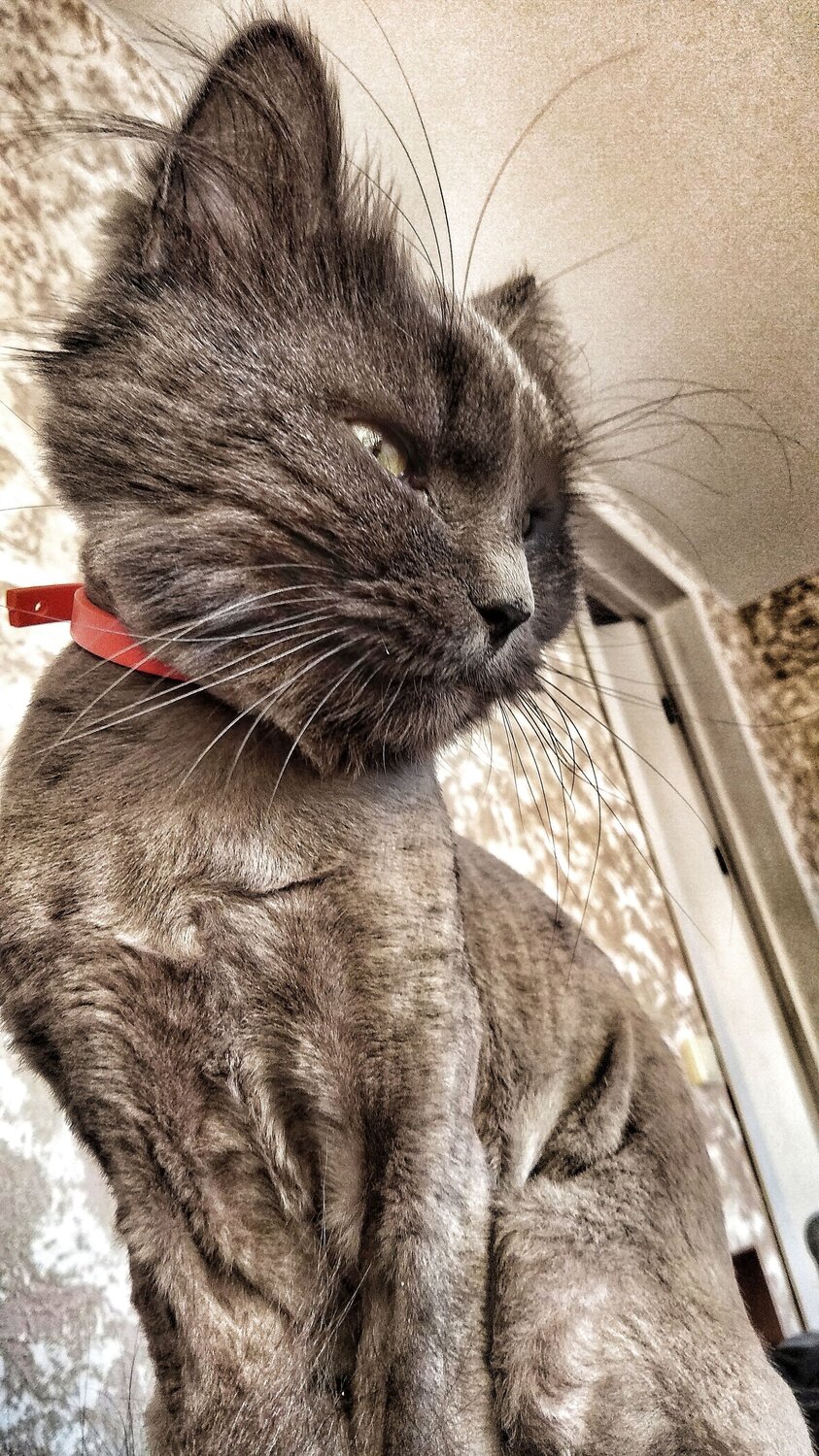 Photo #7635157