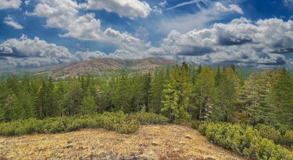 Photograph by Алексей Патлах