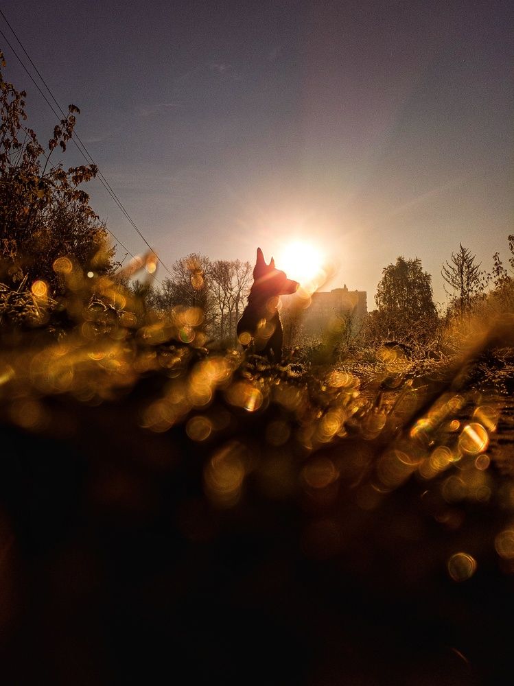 Photograph by Пирожков Александр