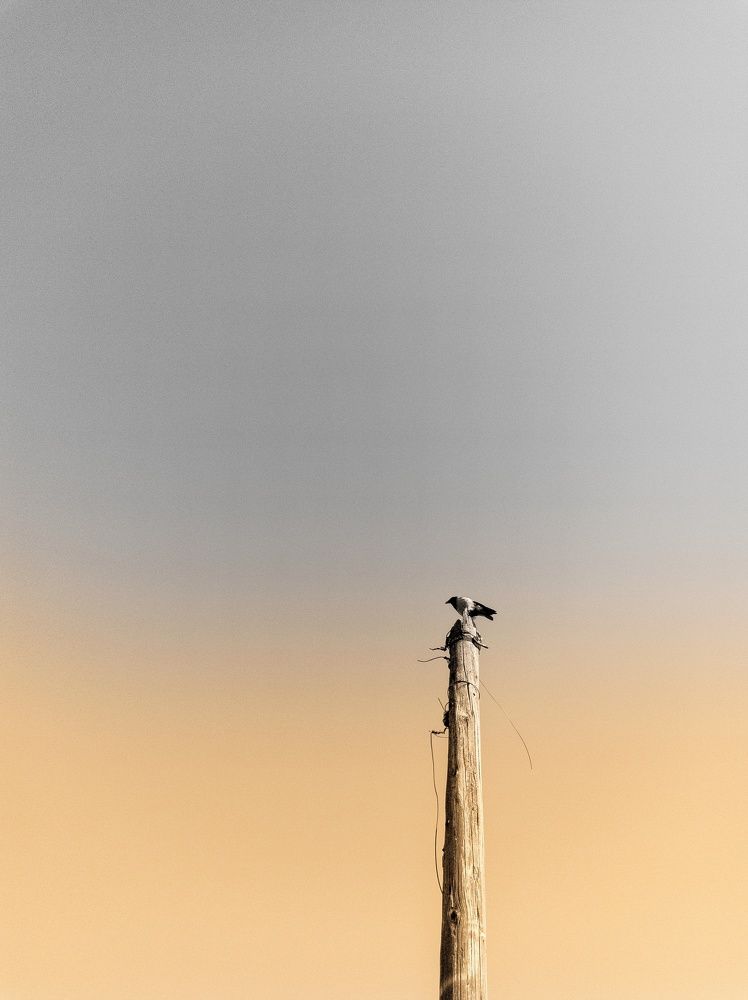 Photograph by Пирожков Александр